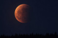La Luna se teñirá de rojo: cuándo será el eclipse visible desde Corrientes Argentina